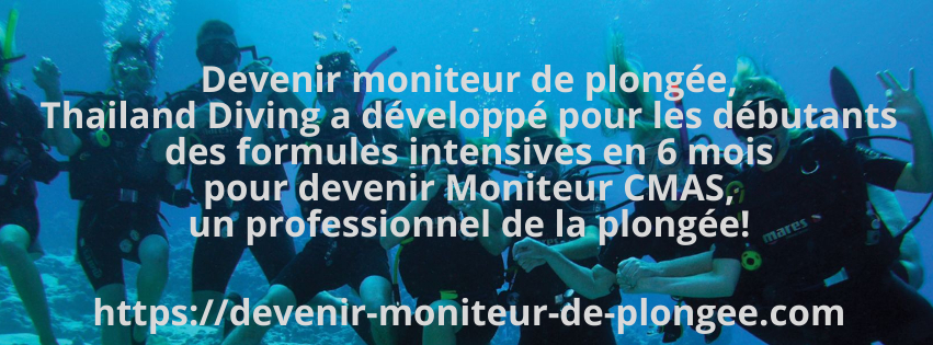 Devenir moniteur de plongée, Thailand Diving a développé pour les débutants des formules intensives en 6 mois pour devenir Moniteur CMAS, un professionnel de la plongée Devenir moniteur de plongée, Thailand Diving a développé pour les débutants des formules intensives en 6 mois pour devenir Moniteur CMAS, un professionnel de la plongée